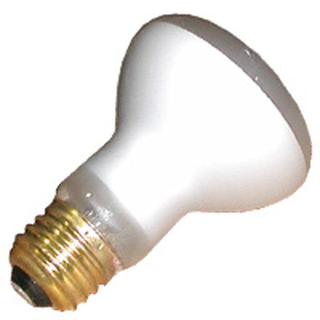 Halco 9116 100W R20 Incandescent Light Bulb